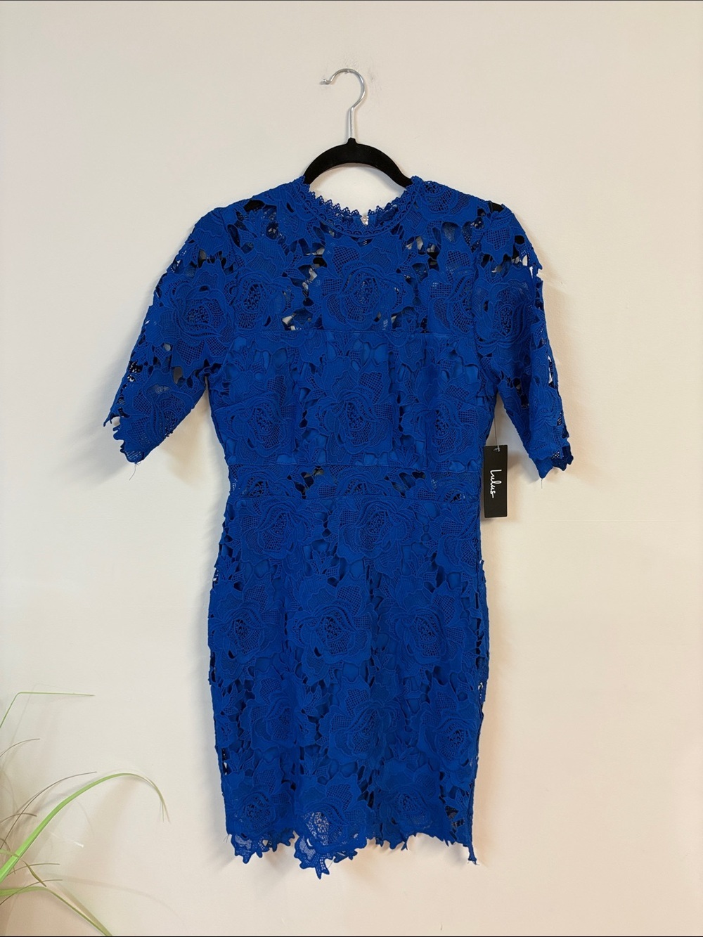 ❤️ BNWT A Fine Romance Cobalt Blue Lace Sheath Dress size M wedding guest dress - Picture 4 of 7